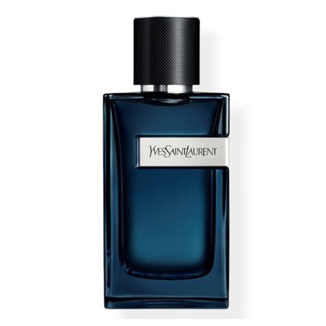 ysl edp cologne notes|ysl y edp intense 2023.